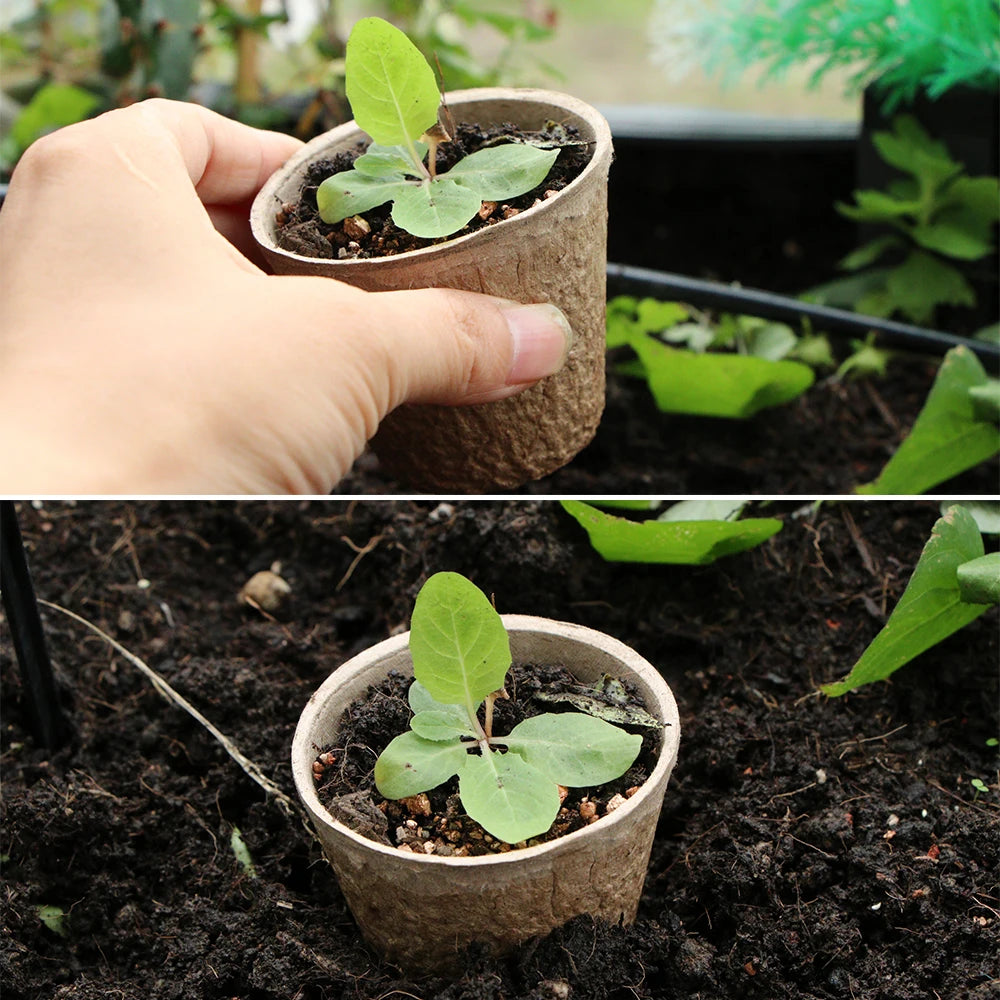 Biologiskt Nedbrytbar Sättkruka - För Klimatsmart Plantering!